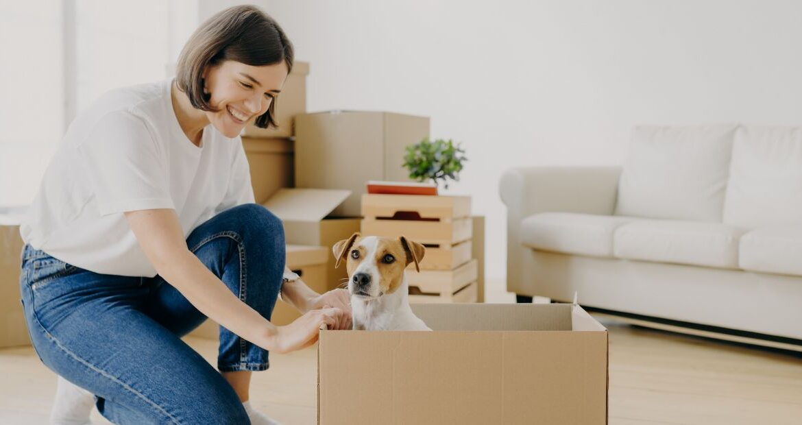 pet moving from USA to UAE